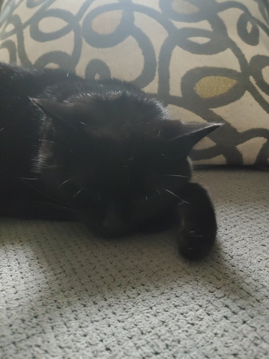 Good morning @RushFamTourneys have a most excellent P/C #RIPNeilPeart <a href="/vivien2112/">Vivien</a> <a href="/BStrangiato/">Bob Vila Strangiato</a> <a href="/newworldrushman/">Albert Ortenzi</a> <a href="/Down28To3/">TB[21]12 🌊🍑</a> <a href="/JohnRiverajr3/">John Rivera jr</a> <a href="/Tinathread/">Tina Pearl</a> @LWalroo @Anagram2112 <a href="/DebbieMaz/">Debbie Mazella</a> <a href="/MaraJade_2017/">𝔐𝔞𝔯𝔞 𝔍𝔞𝔡𝔢 🎞️ 🍿</a> @GiraffeCyclist <a href="/BWieds/">Barry ‘Wieds’</a> <a href="/kgerm30/">K Germ</a> <a href="/jcd823/">James Cornelius</a> <a href="/Jenniferkunkel/">Jennifer Kunkel</a> <a href="/ABeltJr1/">A Belt Jr</a> <a href="/fiengo_jane/">JaneFiengo</a>