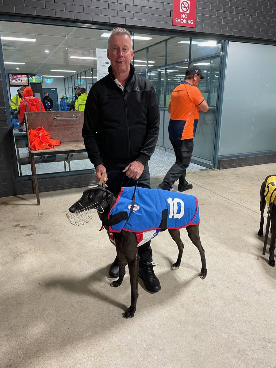 Our boy is getting ready to race! Go Noah Charles, Race 8 <a href="/sandowndogs/">Sandown Greyhounds</a> #CommunitySweep
