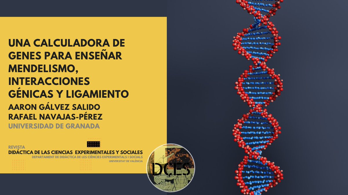 revista_dces's tweet photo. Una Calculadora de Genes para enseñar mendelismo, interacciones génicas y ligamiento🧮🧬

✏️Aaron Gálvez Salido y Rafael Navajas-Pérez @canalUGR
📍 https://t.co/UTCHrlUDOU

#genética #herencia #cienciasbiológicas #aprendizaje  #calculadoradegenes

@ApiceDce https://t.co/AZrftkmwsq