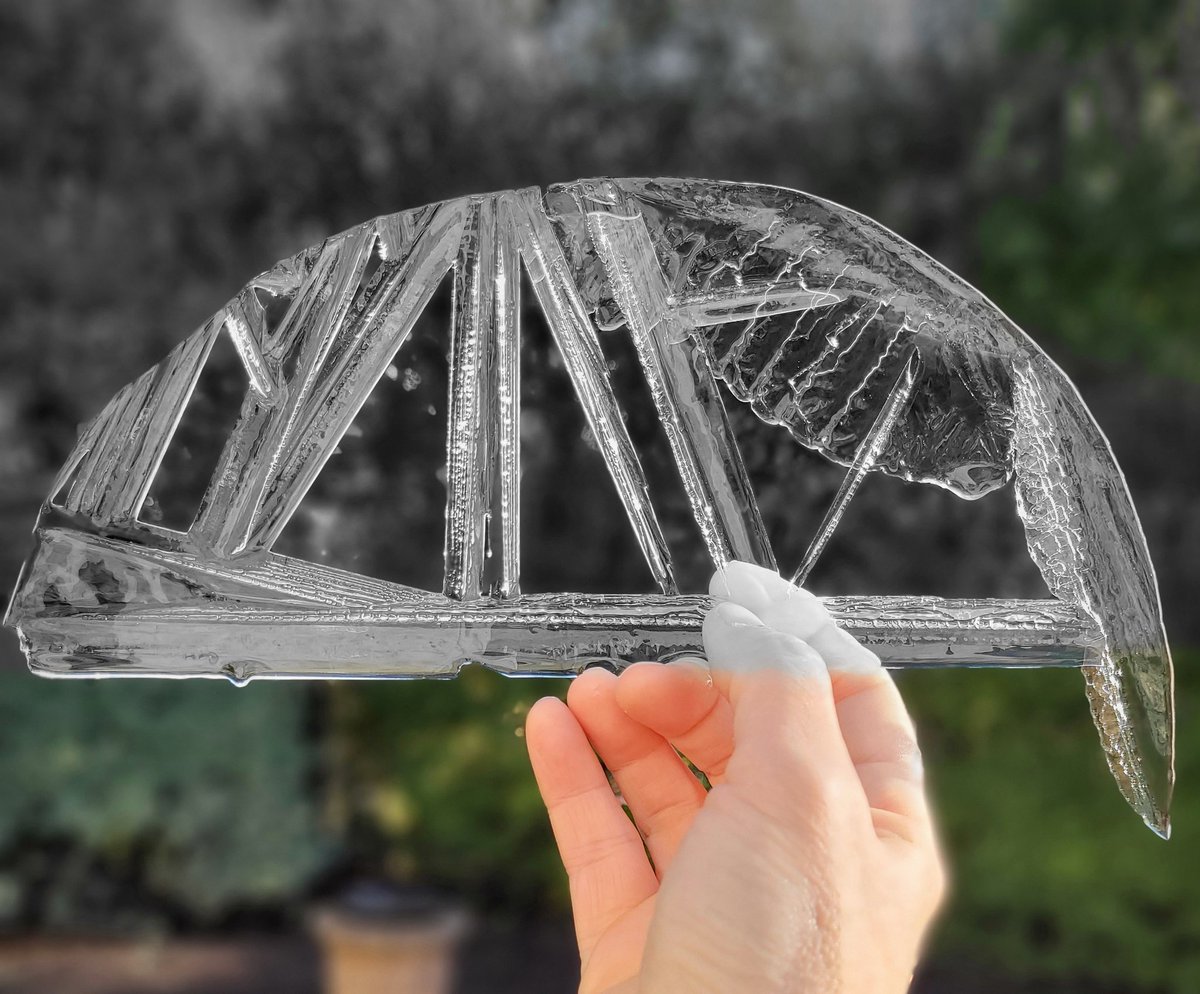 badly_wired's tweet image. November morning ice from the bird bath 😍

#Art
#ArtinNature
#GeometryinNature