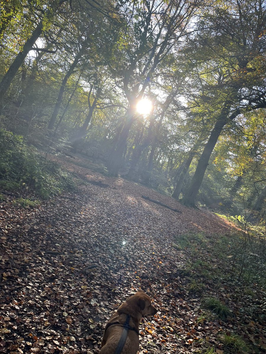 Bit of much needed soul time at the end of a long week. Much needed and appreciated by us both.