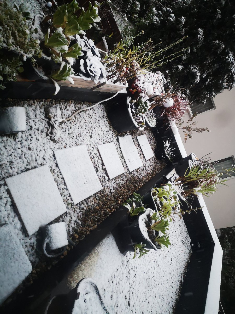 LouTerLou's tweet photo. Yup. Winter is coming.
#NotMyLastTweet https://t.co/wfcnjRrYfz