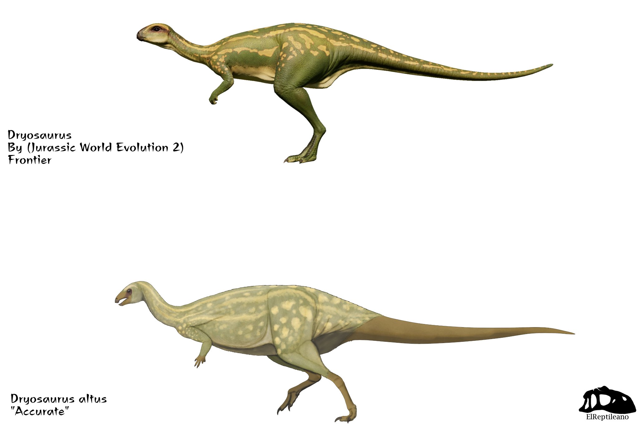 El Reptileano (open commissions) on Twitter: "Dryosaurus in its ...