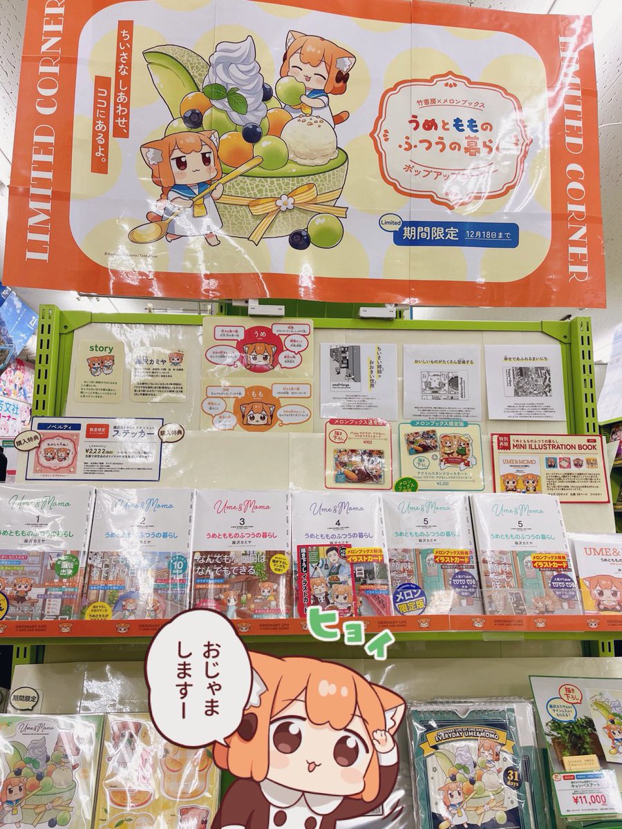 メロンブックス大阪日本橋店さんと、GiGOさんに行ってきました😺
#うめともものふつうの暮らし 