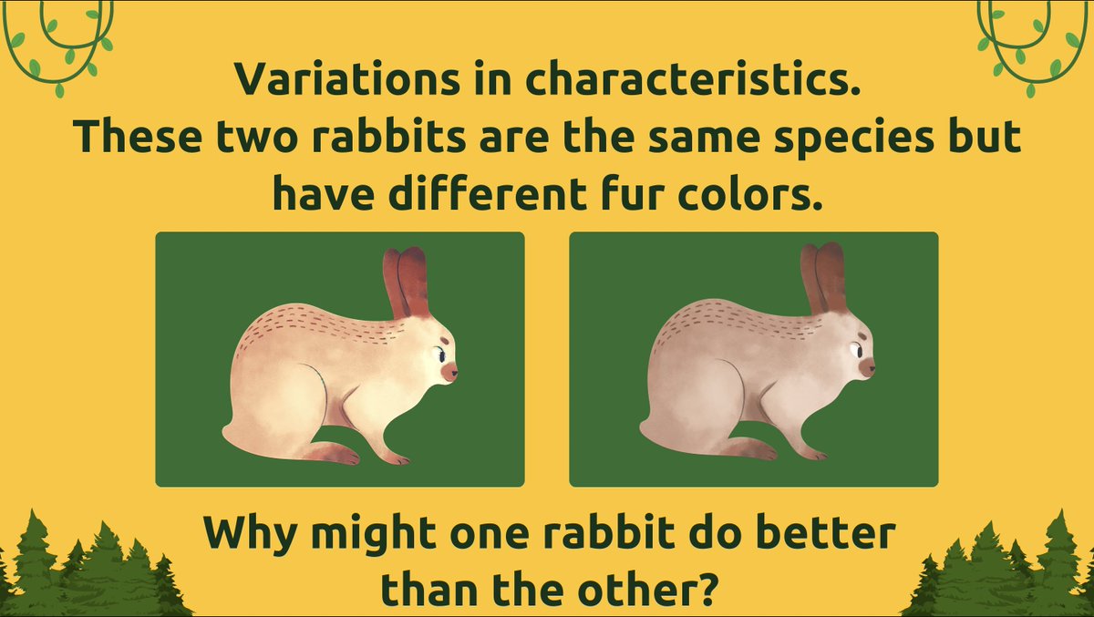 GretaJReed's tweet photo. This week we made micro-lessons with flipped classrooms. This was the first time I used the program Canva and found it easy to use! I created a presentation on a nextgenscience standard about traits that can be advantageous in the wild. #EDUC387713 #flippedclassroom #canva https://t.co/XM3JHsBwLG