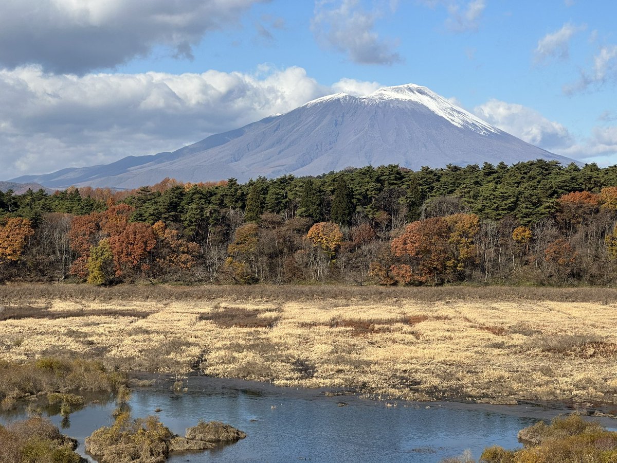 ญี่ปุ่นตอนนี้คือสวยมากและหนาวมาก #อยากให้เธอได้มาอยู่ตรงนี้จัง