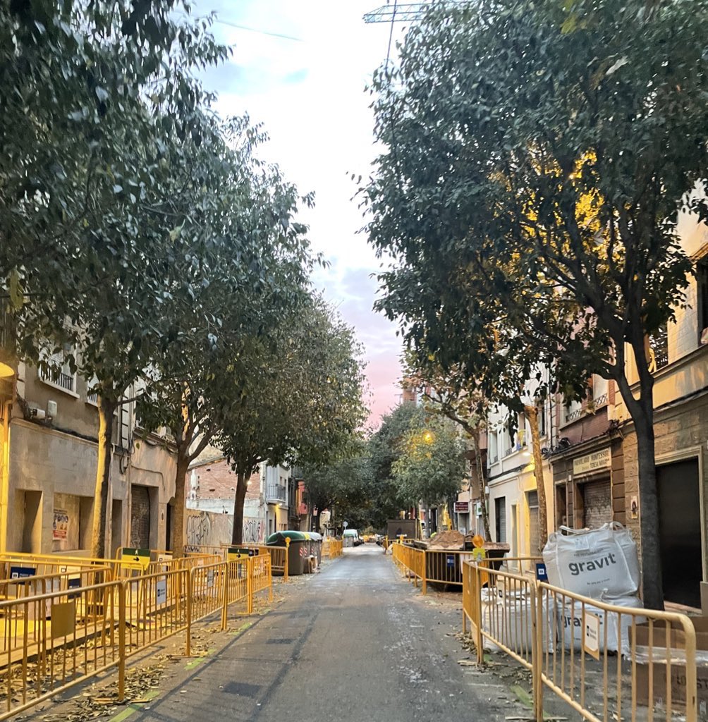 Patrimonio natural en peligro | <a href="/aiguesbcnclient/">Aigües de Barcelona</a> y <a href="/sorigue_/">Sorigué</a> no  sólo no han protegido los árboles de la obra de las calles Doctor Martí i Julià, Rambla Catalana y del Roselló sino que han cortado raíces | <a href="/LHAjuntament/">Ajuntament de L'Hospitalet</a> no cuida el vecindario #EmergenciaClimática