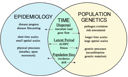 AsianJPlantSci's tweet photo. Population genetics is the study of genetic variation within and among populations and the evolutionary factors that explain this variation. Its foundation is the Hardy - Weinberg law, which is maintained as long as population size is large, mating is at random, and mutation. https://t.co/LsNFFa5XiR
