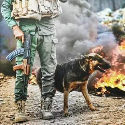 كل الذين احبهم نهبو رقادي واستراحوا هنا سجدوا هنا تعبوا هنا رقدوا..بسالة جعفر الطيار ما وهنوا......