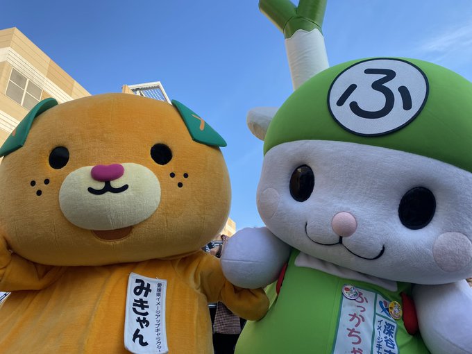 ふっかちゃん様専用 （2025最新のスタイル ウエットティッシュ