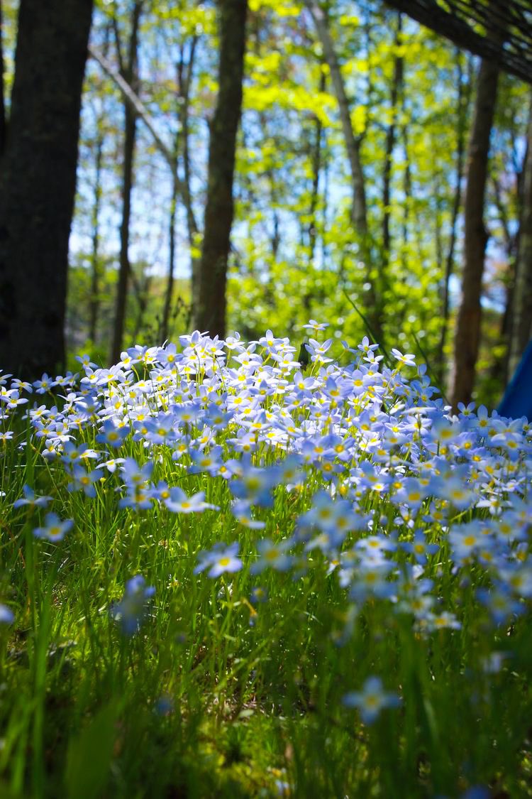 Life is too short to worry about stupid things..Have fun!Fall in love!Regret nothing and don’t let people bring you down!
Good morning y’all!!Enjoy a new day of your life!
Happy Saturday 🌻