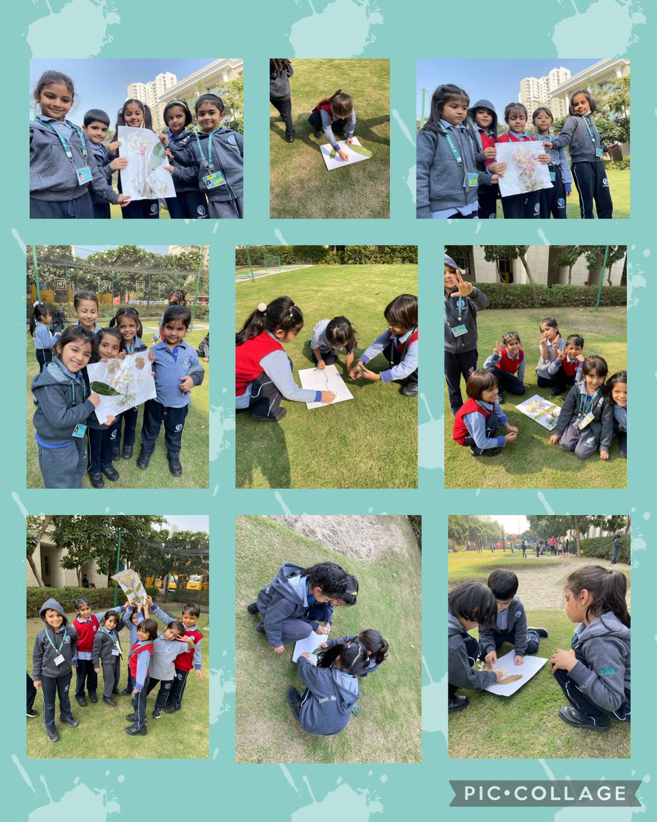 Nupur Goel (@nupurg29) on Twitter photo Our learners reflected their understanding on parts of a plant. They were engaged in collecting and assembling the parts of a plant -twigs for stem, flowers, petals, roots, grass and leaves.They were thrilled to work together with their peers. <a href="/Pihu_I_Kapoor/">Pihu Kapoor</a> <a href="/PathwaysNoida/">Pathways School Noida</a> Our learners reflected their understanding on parts of a plant. They were engaged in collecting and assembling the parts of a plant -twigs for stem, flowers, petals, roots, grass and leaves.They were thrilled to work together with their peers. <a href="/Pihu_I_Kapoor/">Pihu Kapoor</a> <a href="/PathwaysNoida/">Pathways School Noida</a>