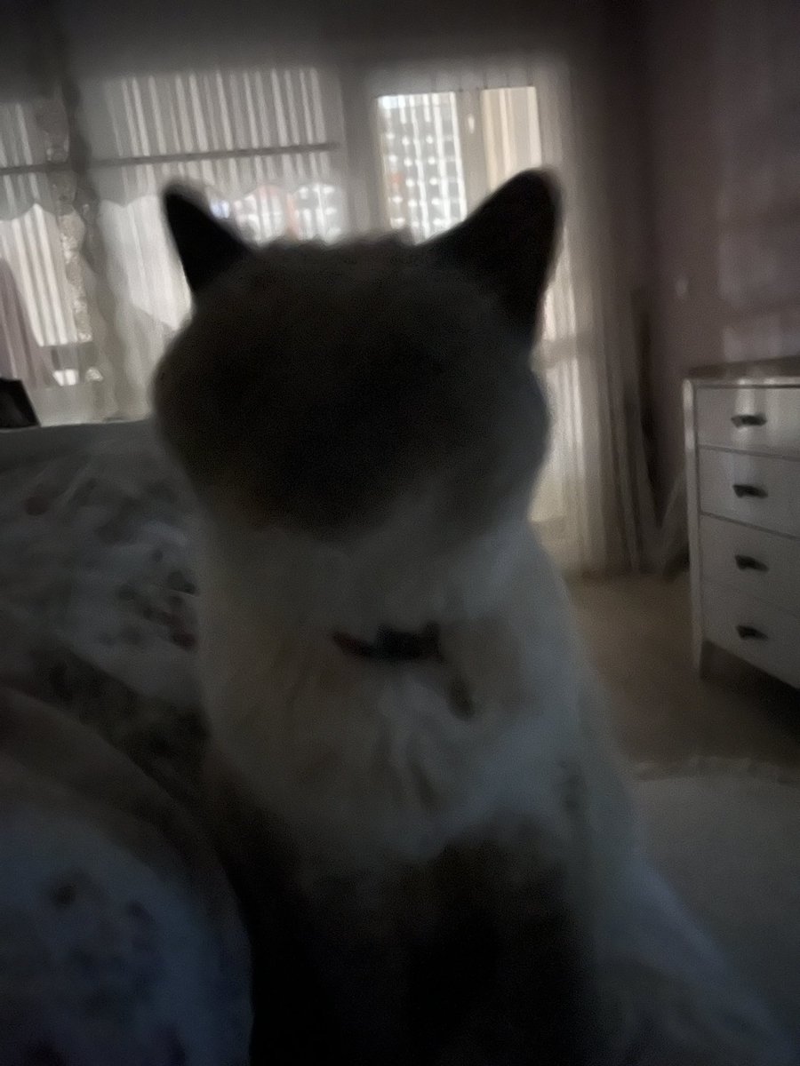 Günaydın cümle âlem..
Bu sabah ve her sabah..
Saat 06:36 da..😻
Şimdi mi..?
Kahvemi içiyorum..😌☕️
De haydi kolay gele..🙋🏻‍♀️