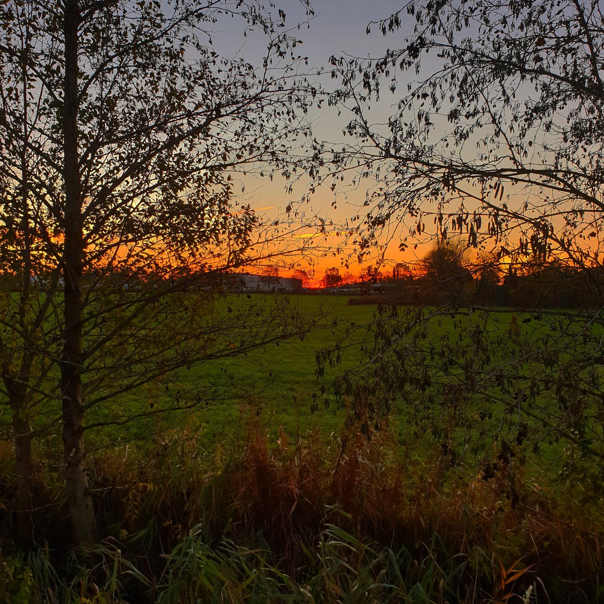 Guten Morgen 🥰 und einen schönen Start ins Wochenende 🥰🍁🍂☀️🌹