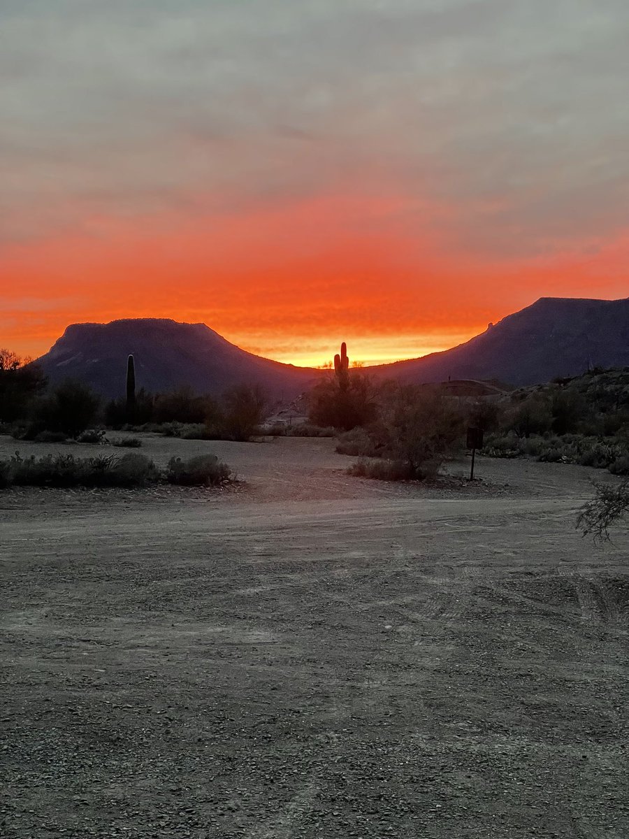 BluSkyWellness's tweet photo. Arizona sunset! #sunset #arizona #reddawn #cactuscountry https://t.co/NC1QumsQQb