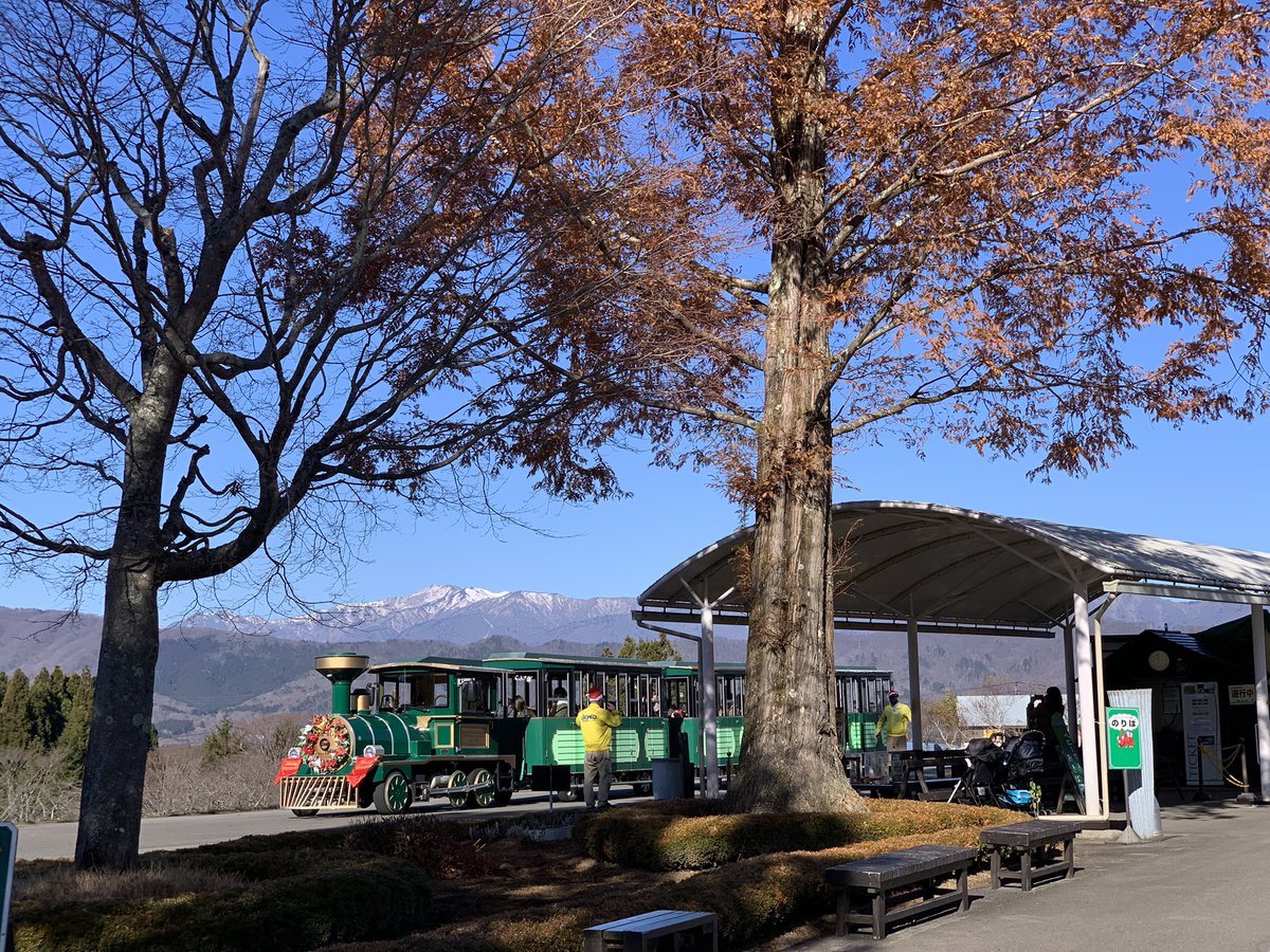 moz__08's tweet photo. 今日は家族みんなで牧歌の里へ

紅葉は終わってたけど天気がすごくよかった👏 https://t.co/ROqEftnWp4