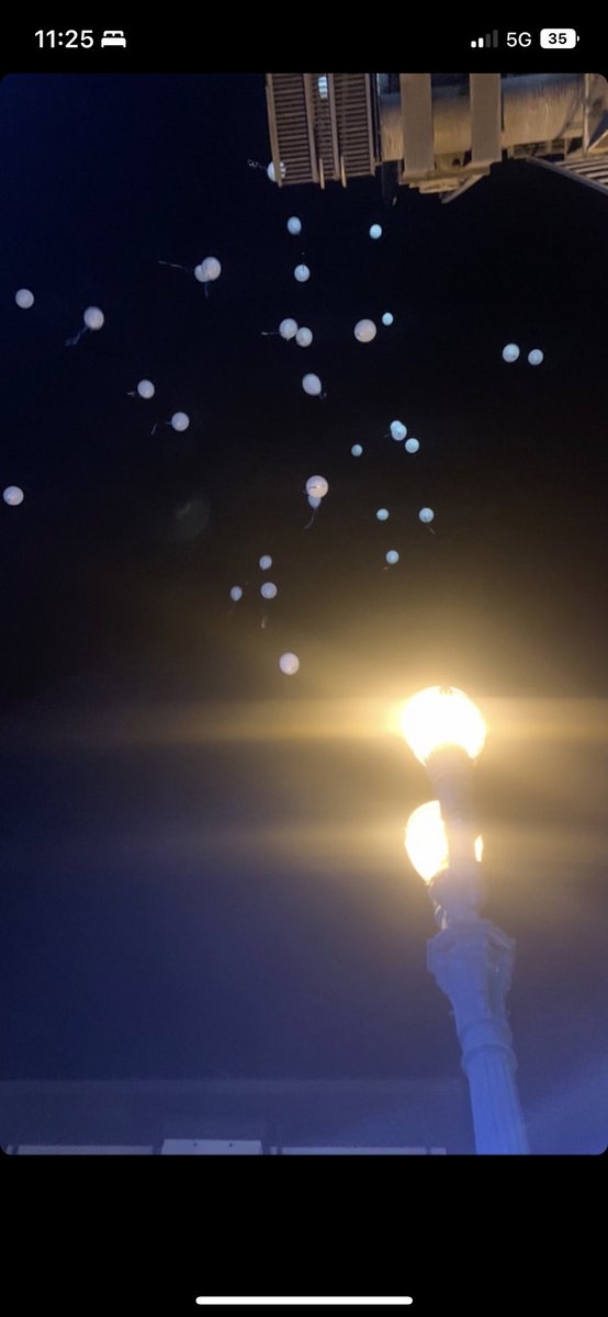 jessethechef's tweet photo. Fly high Jesse 🕊🕊🕊🕊 https://t.co/Jr0XT0RaAd