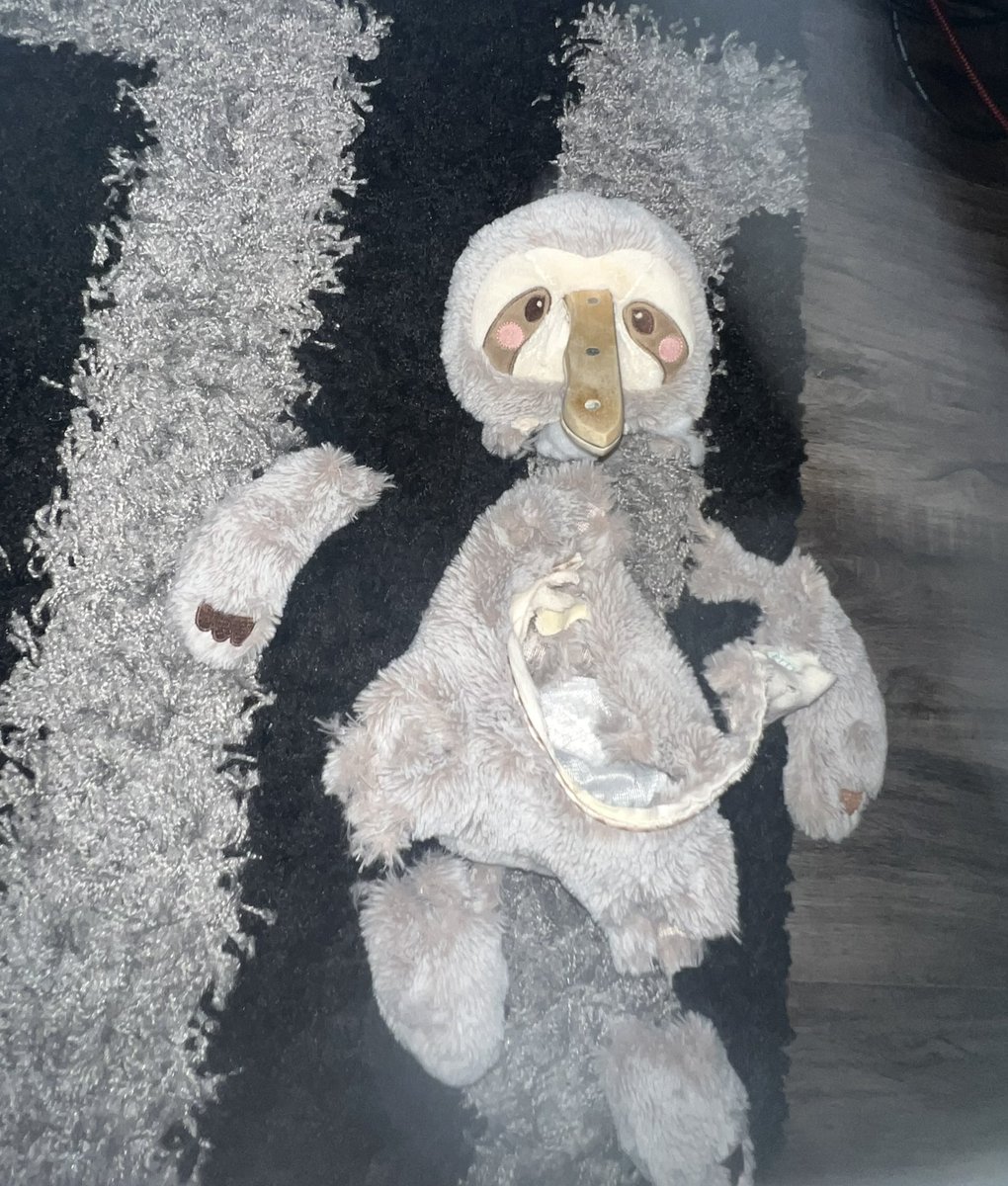 PETTlNG's tweet photo. not my ex sending me pics of him brutally murdering the stuffed animals i sent him lol… it’s fucking scary. https://t.co/6HGfz5Lpb3