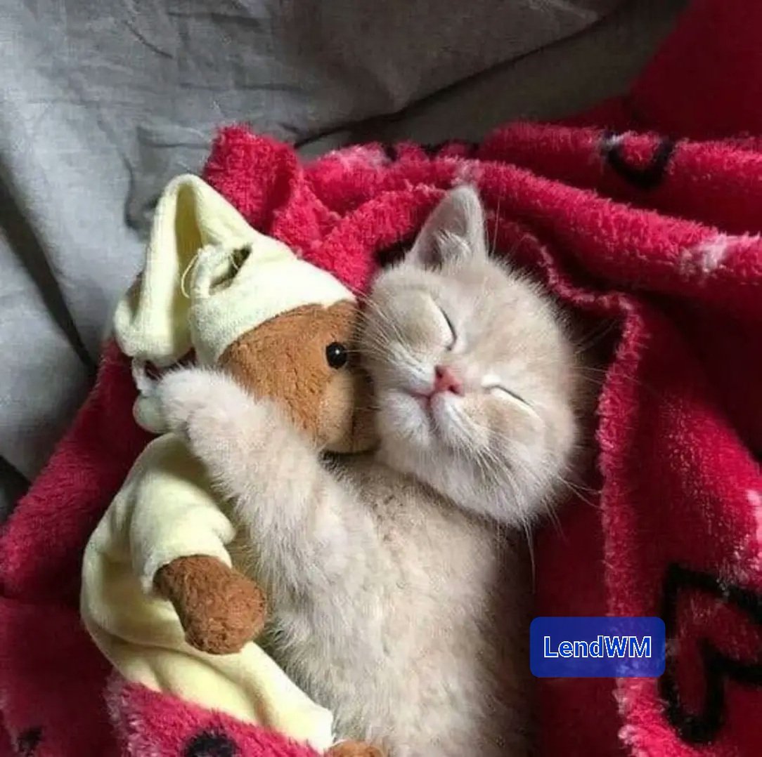 LendWm's tweet photo. Good morning and have a profitable Saturday❣

Our #online #loan service is working on increasing your resources without days off and holidays 24/7

https://t.co/zgWHObxy7v

#lendwm #credit #profit #news https://t.co/0mweNWexIy
