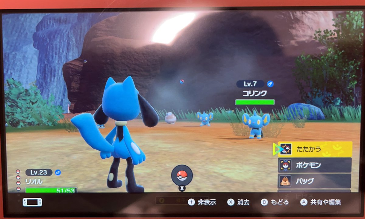 ポケモンsv もくたんの入手方法と効果まとめ スカーレット バイオレット 攻略大百科