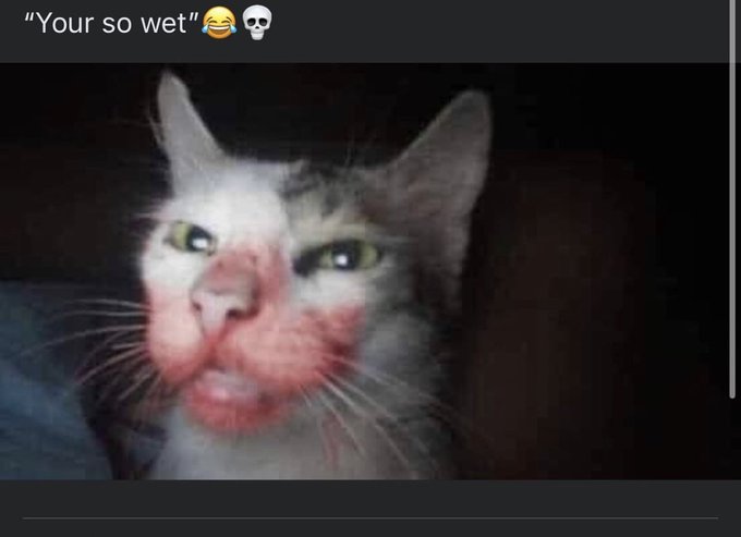 I got someone in my phone saved under bloody mouth https://t.co/RVPIHO3yZ0<a href="/tag/newprofilepic"class="tags"><span>#newprofilepic</span></a>