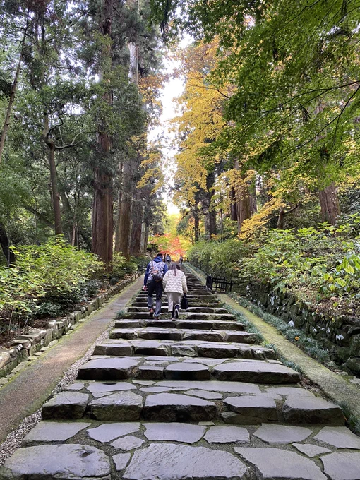 ちょっと足を伸ばして秋晴れ散歩。両腕が回らない程太い杉が両脇にそびえる石段を登り切ると、鮮やかな朱、橙、黄。伊達家の霊廟があるふもとだから霊屋下。お館様の遺命で建てられた廟、そのふもとだよって地名なんかいいな。一応難読地名らしい。ちょうど修繕中だったので記念御集印だった 