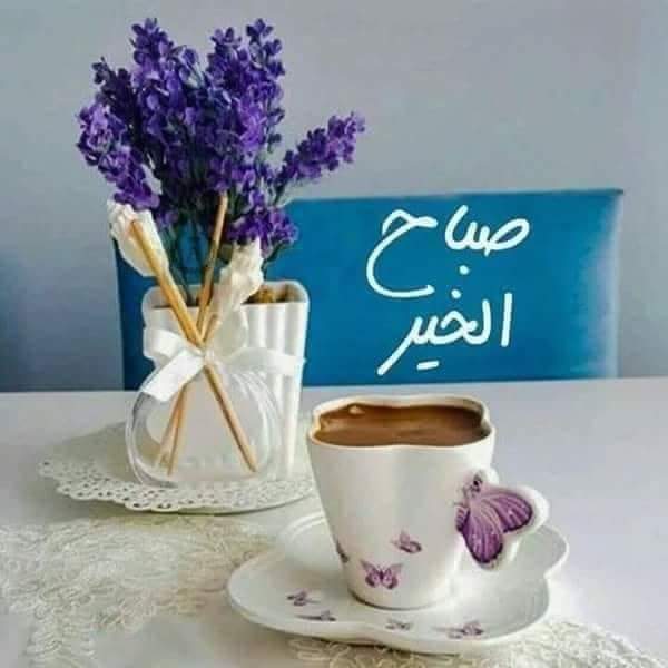 اللهم مع هذا الصباح أروي اعيننا بفرح الحياة وغيث السعادة واجعل لنا ارواحاً صافيه من كل شيء"
صباح الخير ❤️