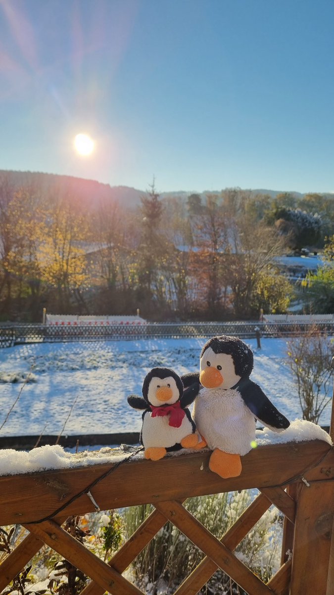 Da war ich wohl etwas stürmisch 😄