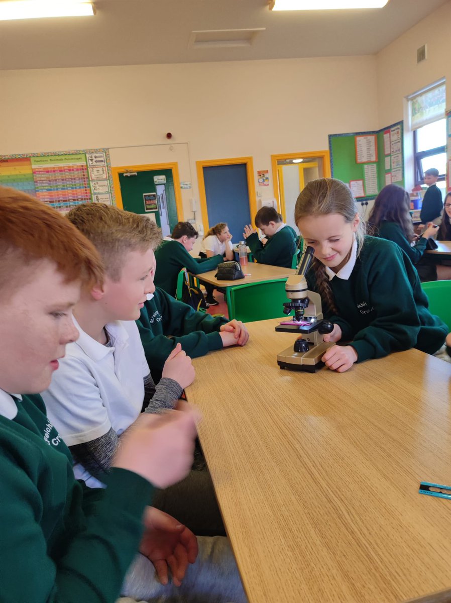 Fifth and sixth class learned how to use a microscope to explore plant and animal cells 🔬 #ScienceWeek2022 @PDSTPrimarySTEM @MayoScienceFest @scienceireland1