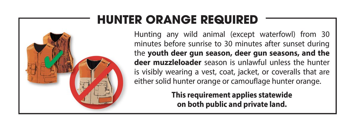 BlackSwampBucks's tweet photo. We just wanted to reminder you that this weekend (11/19 - 11/20) is Youth Gun season! Bow hunting is allowed - but requires solid hunter orange or camouflage orange. Good luck! Stay safe.

Please send us your pictures we love to share the hunt!! 

#GetOutDoors #YouthGunSeason https://t.co/9IWhwmRQNJ