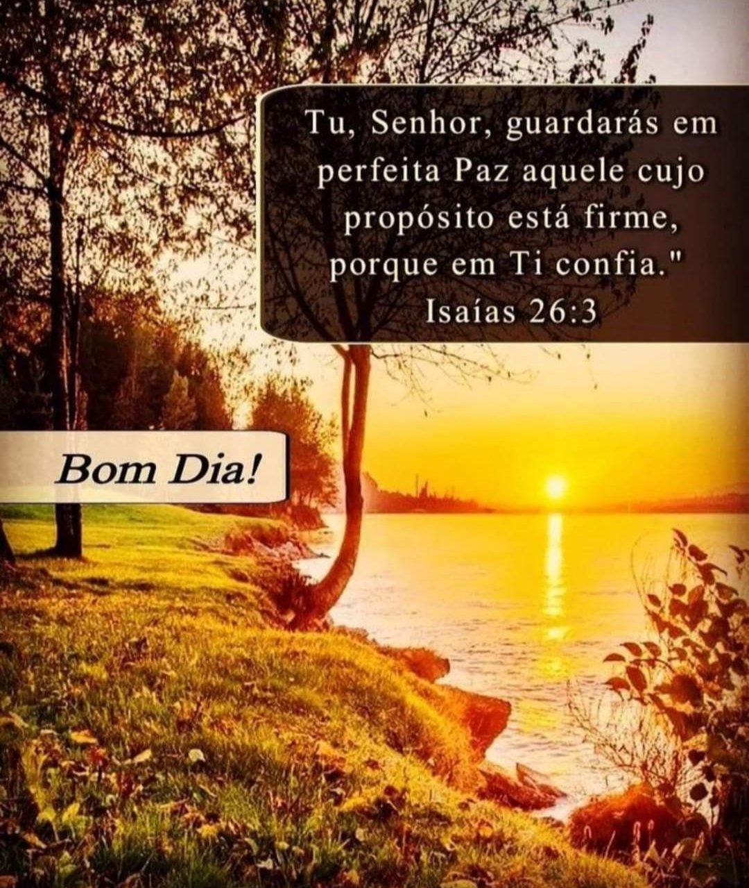 Alvaro Dias on Twitter: Alvaro Dias on Twitter: