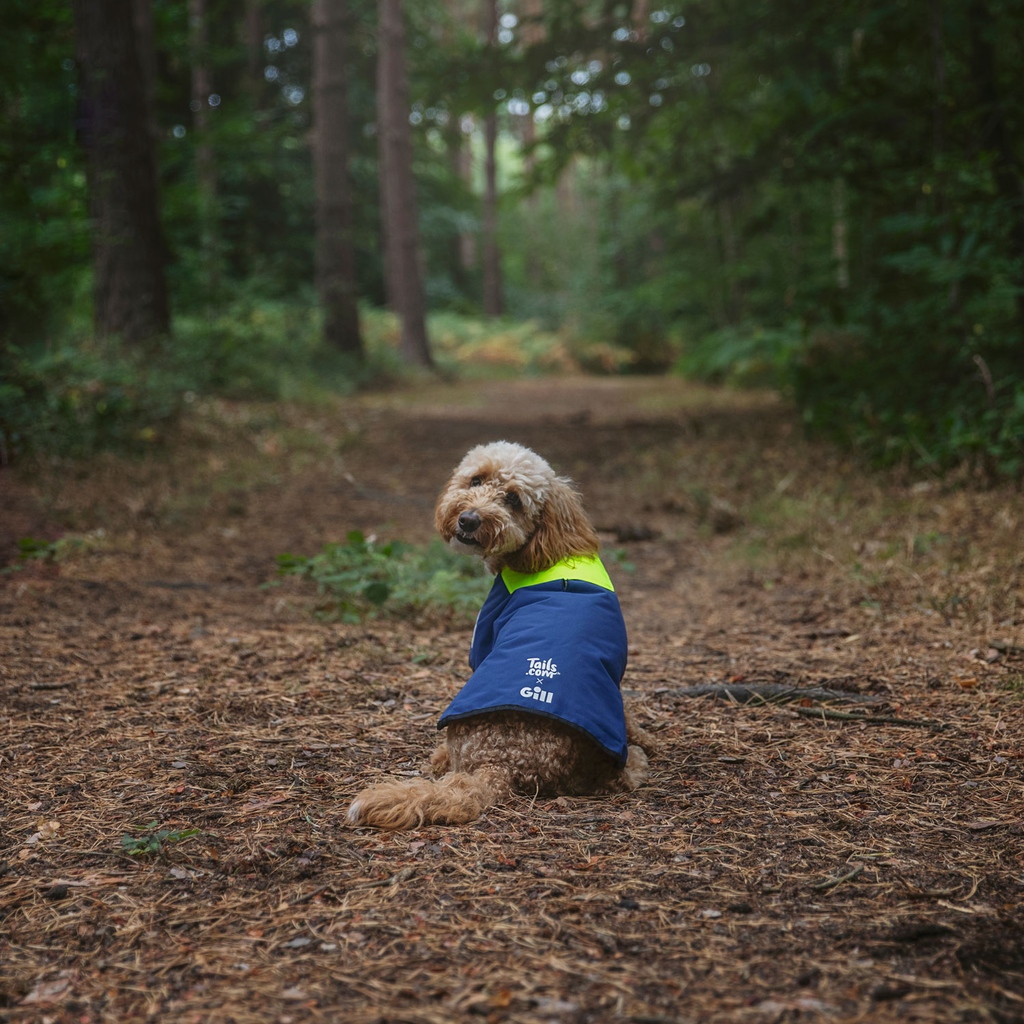 Weekend walkies 🐶 Where are you off to this weekend? 

Tag us in your photos to feature in our Instagram stories. 👆🏼

#gillmarine #tailsdotcom #tailsdogfood #collaboration