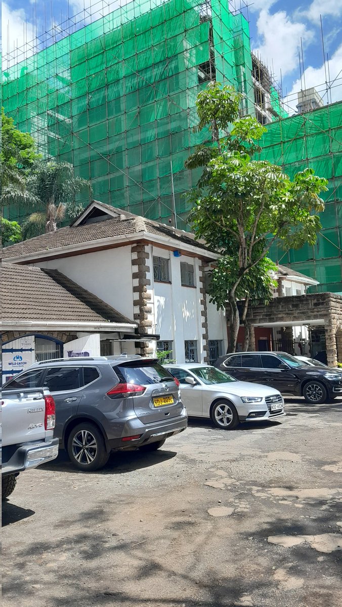 Steve Mbogo tweet media