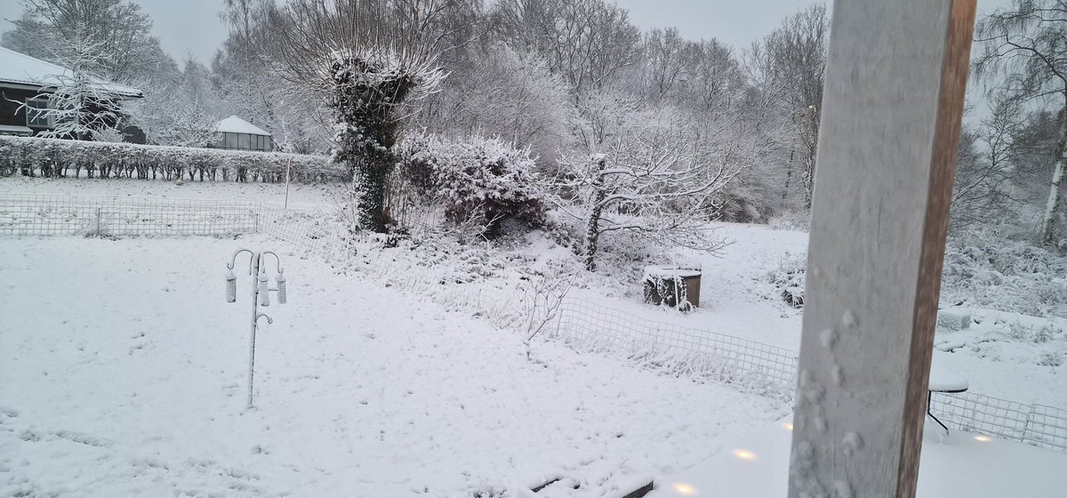 patrickalnins's tweet photo. @Cornubot I södra Sverige https://t.co/j6PwiYpPvR