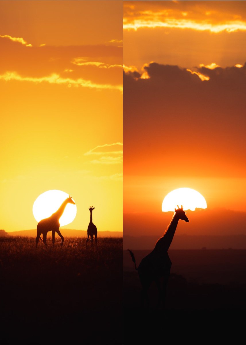 Gm frens

Quick reminder that my two limited editions are live!

Sunrise only 11/12 available
Sunset only 9/12 available

Holders of both editions will get a special airdrop!