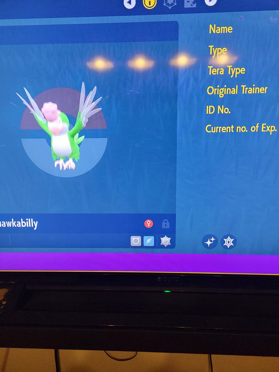 DanmanNefarius's tweet photo. Shiny squawkabilly!! https://t.co/nqgx8bdKNa