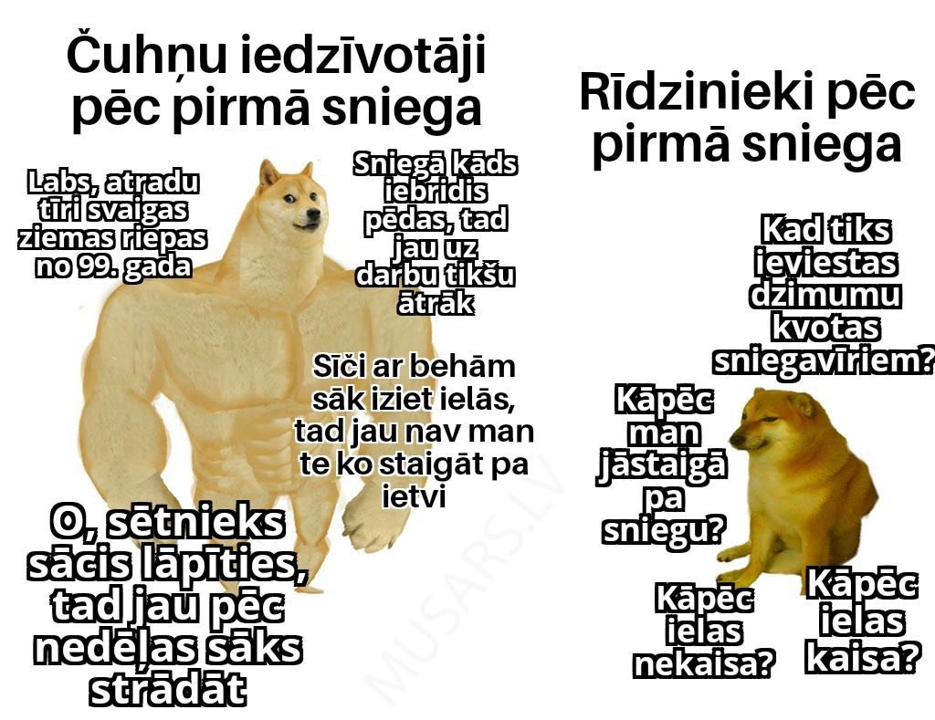 musarslv's tweet photo. Apsveicu visus Čuhņu un Rīgas iedzīvotājus ar pirmo sniegu https://t.co/MQjUHQU9OT