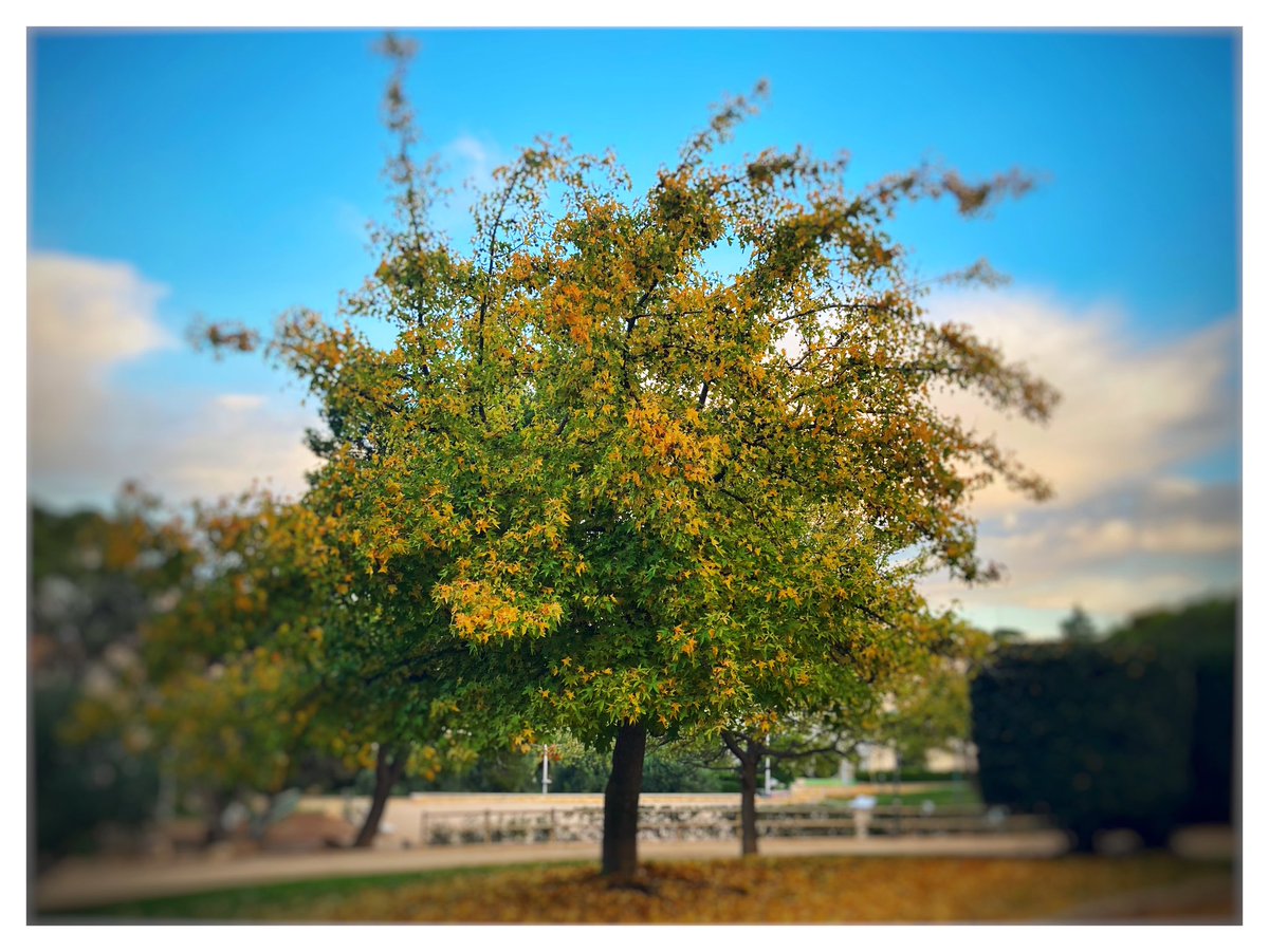 pepescoda's tweet photo. Green zone #CampDeMart #Tarragona
#photography ©️PepEscoda https://t.co/2dcyKHaW6o