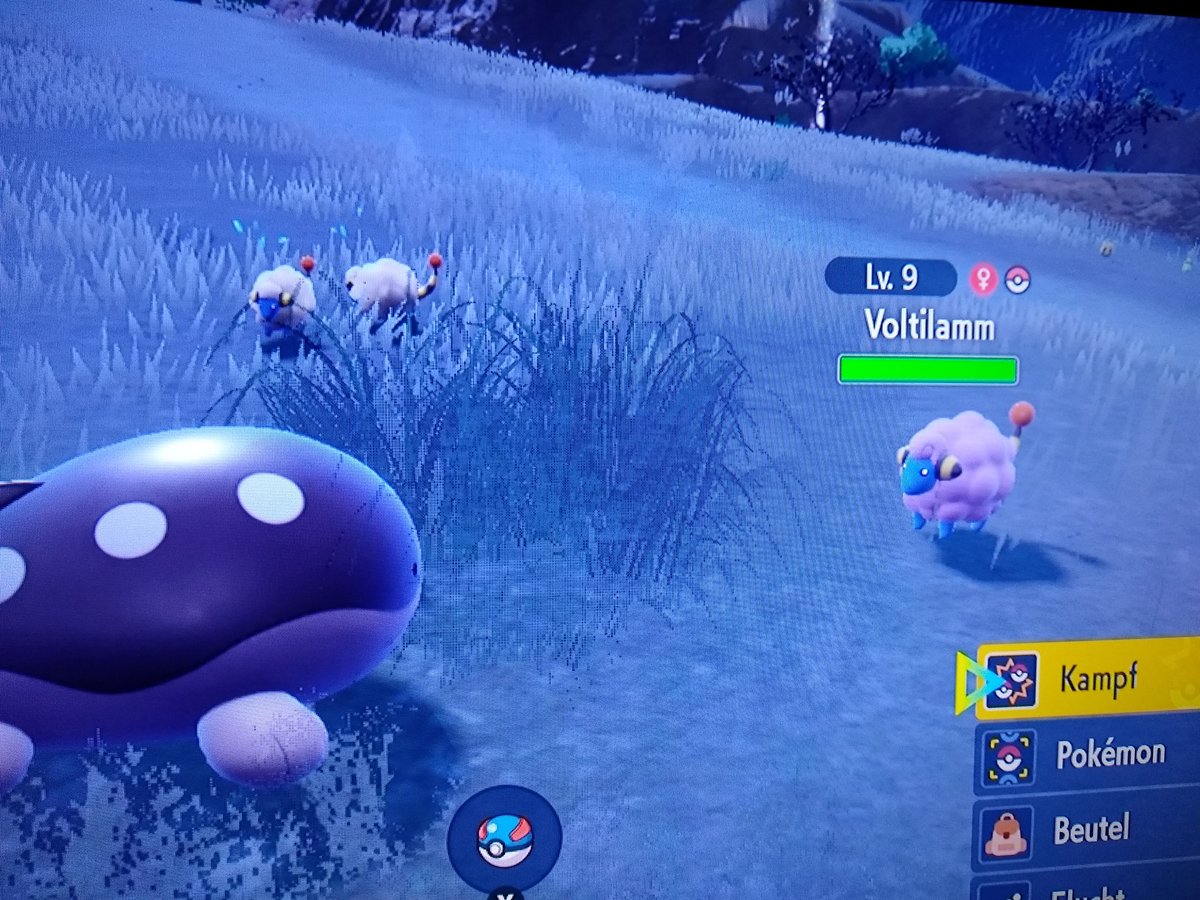 pinksquid3's tweet photo. Almost didn't see that one
#PokemonScarletViolet #ShinyPokemon https://t.co/Sps7rLOIB8