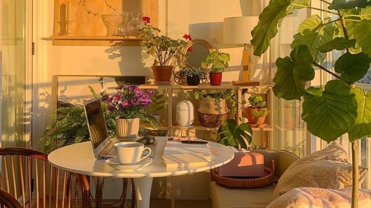 malusokay's tweet image. Sunny and peaceful mornings ✨