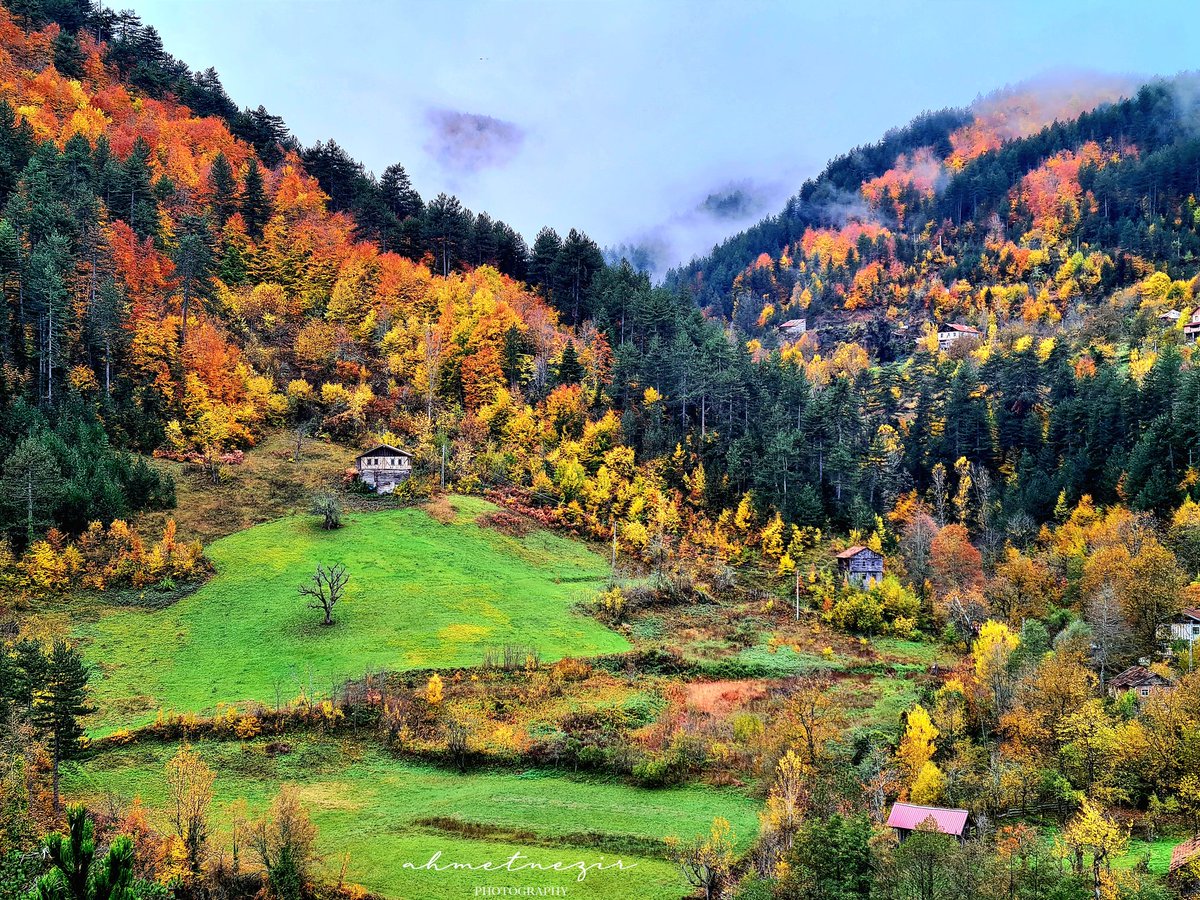 Valay_Azdavay_Kastamonu
Kasım_2022
#Azdavay 
#Kastamonu 
#tuerkiye 
#Turkey 
#Autumn 
#autumnfall 
#sonbahar 
#Doga 
#nature 
#naturelovers 
#manzara 
#landscapephotography 
#yesildunya 
#ogm