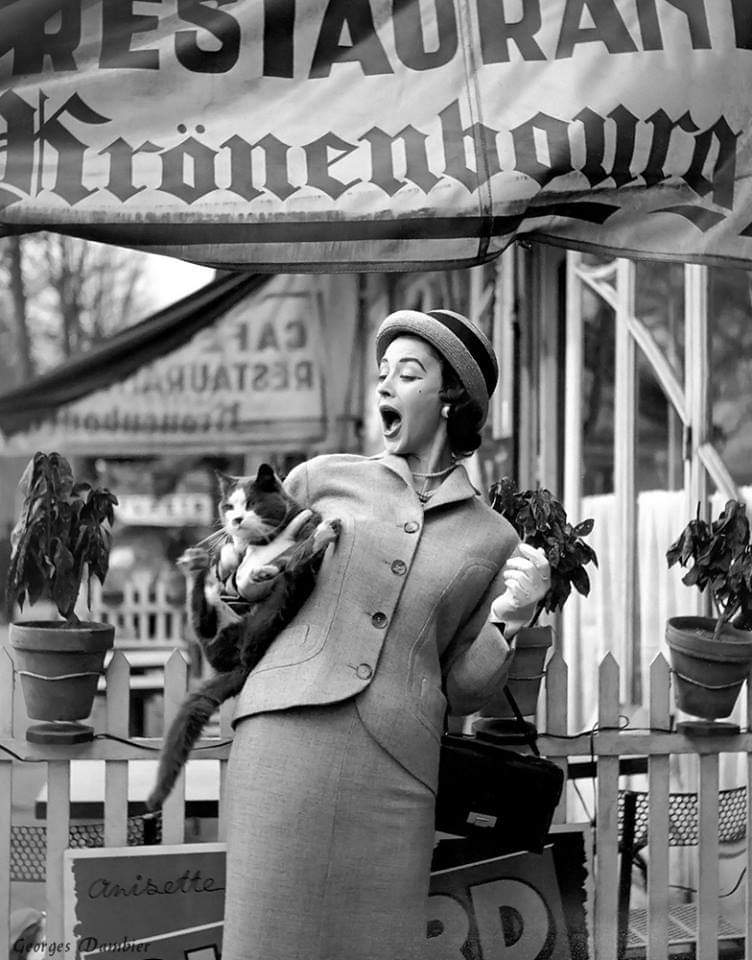 ParisAMDParis's tweet photo. Georges Dambier. 
Mannequin au chat
1957. Paris Fashion France https://t.co/hDw5N4OMUY