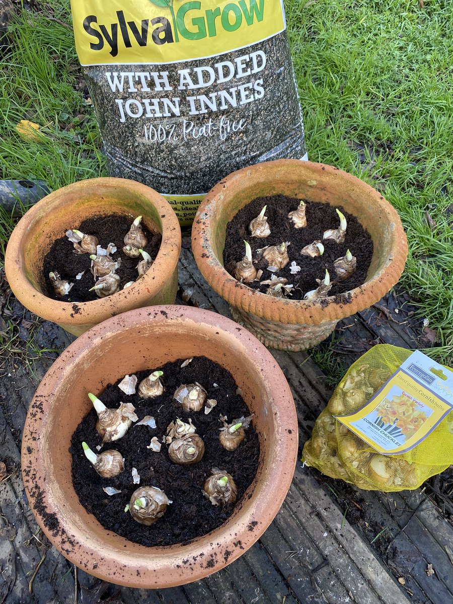 Alan E Down tweet media