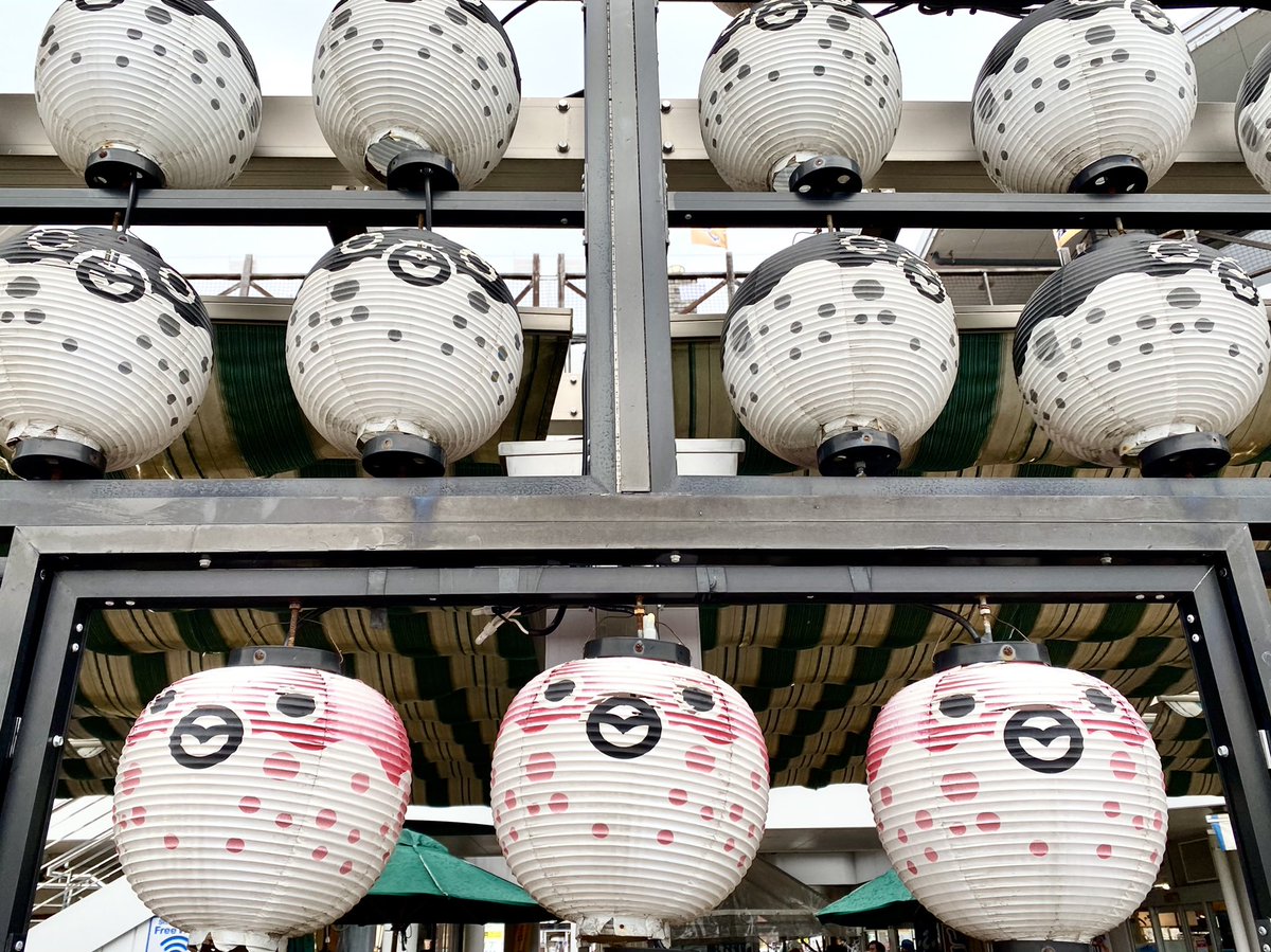 tokyo_kyoto_jp's tweet photo. pucker up
puffer fish 🌊
🐟 karato #fish_market
#shimonoseki
下関市の唐戸市場
おちょぼ口のふく提灯🐡🐡🐡
可愛らしいお母さん☺️のお店で
お寿司を買います🍣
山口の旅 https://t.co/rkg9tDjwnO
