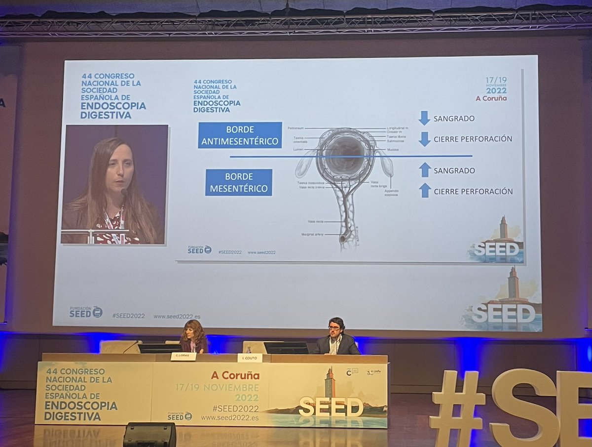 Marco Alburquerque tweet media