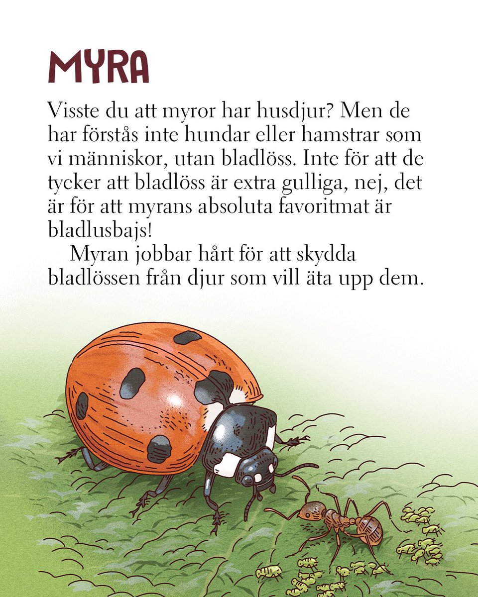 #Julklappstips till barn för att slippa plast annat ohållbart: WWFs nya barnböcker i serien Världens vilda djur. Här axplock ur ”Djuren äter” med Oskar Jonssons fantastiska illustrationer. Lärorikt &amp; kul på en &amp; samma gång! 
#julklapp #boktips