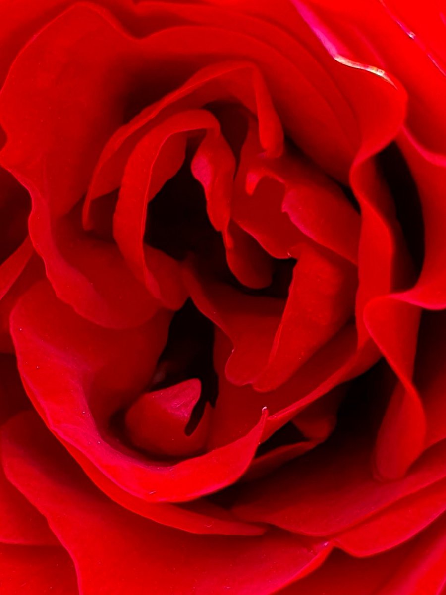 Satin

#YouTopian #OctoPush