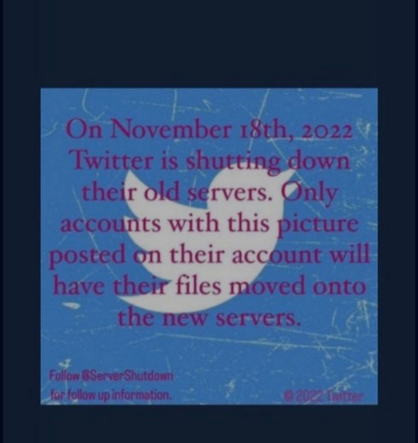 justin died tweet media