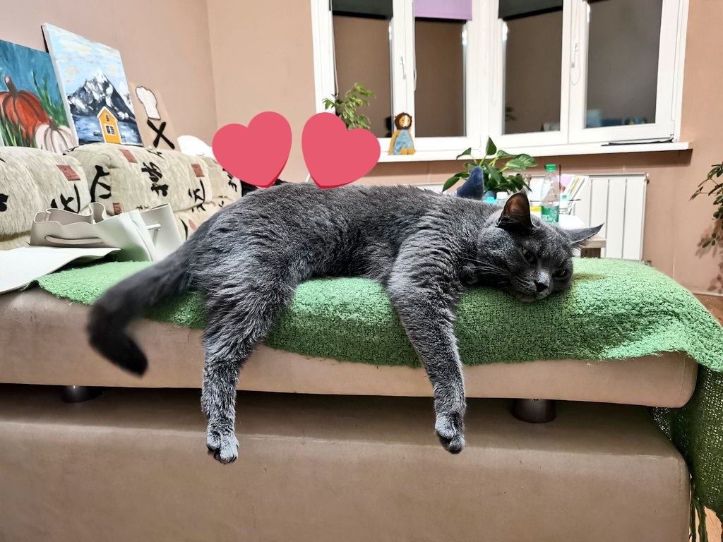 Ричард Батсбак tweet media