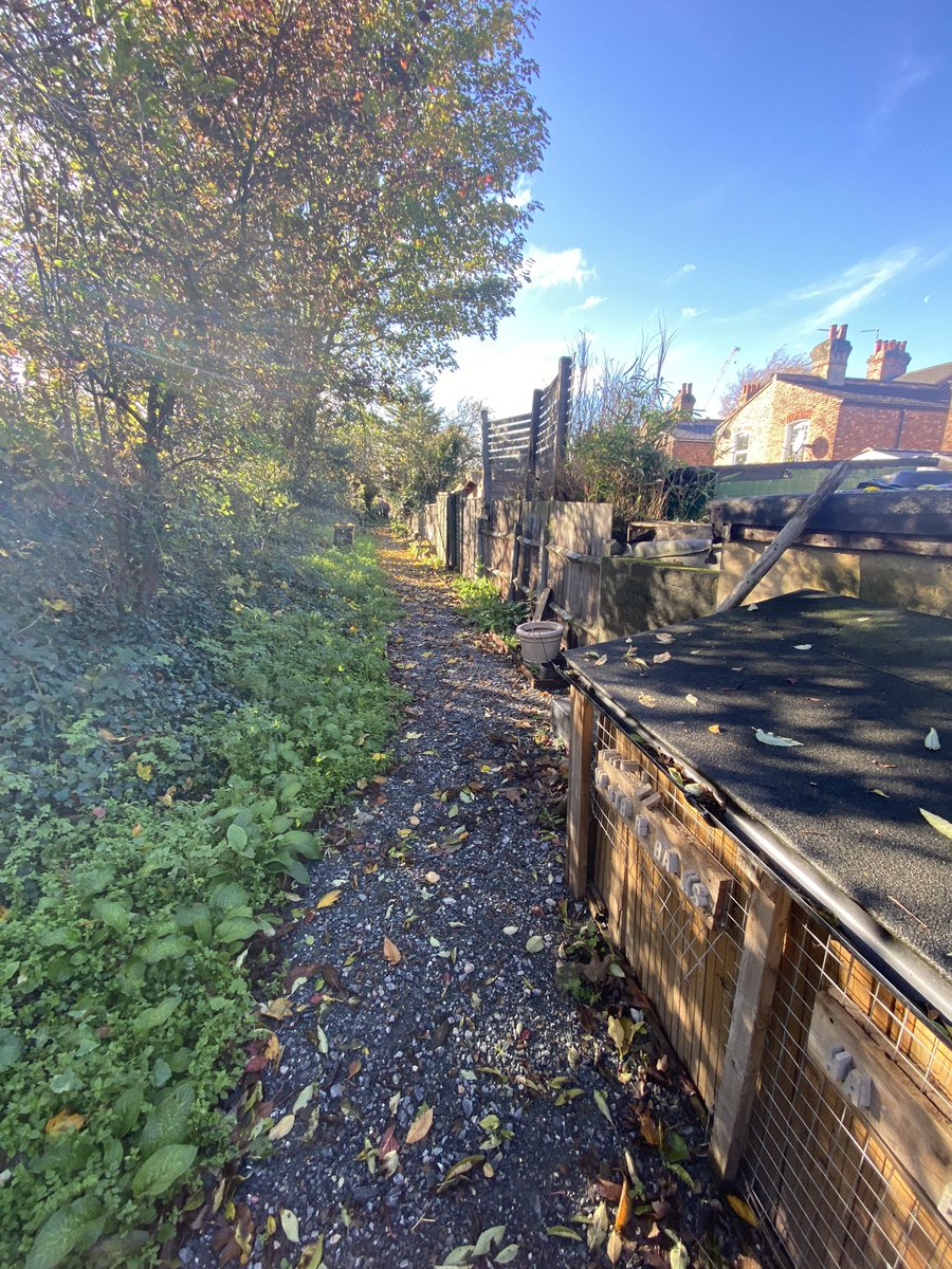 We will be hosting a workshop on Sunday 20/11 from 10am until noon! #GrowBackGreener #NationalParkCity